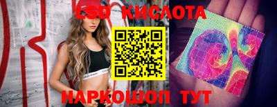 сатива Камышлов