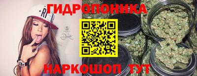 сатива Камышлов