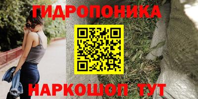сатива Камышлов