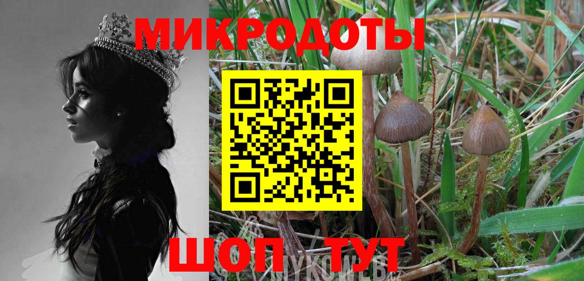 Галлюциногенные грибы прущие грибы Краснознаменск