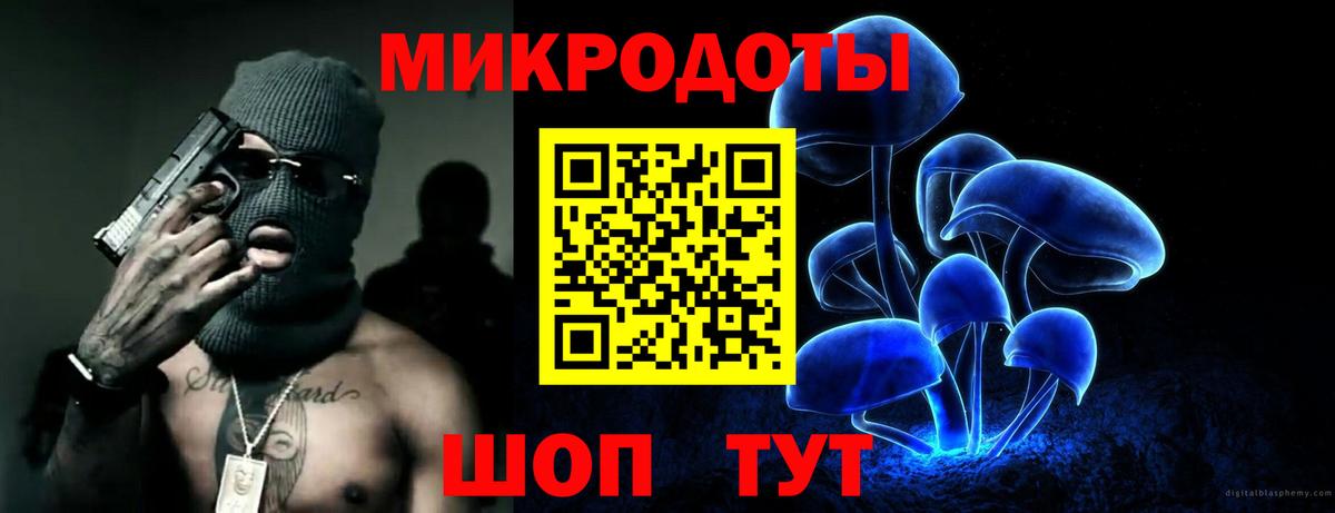 Галлюциногенные грибы Psilocybe  Вход с VPN  Краснознаменск  дарнет шоп  Псилоцибиновые грибы мицелий 